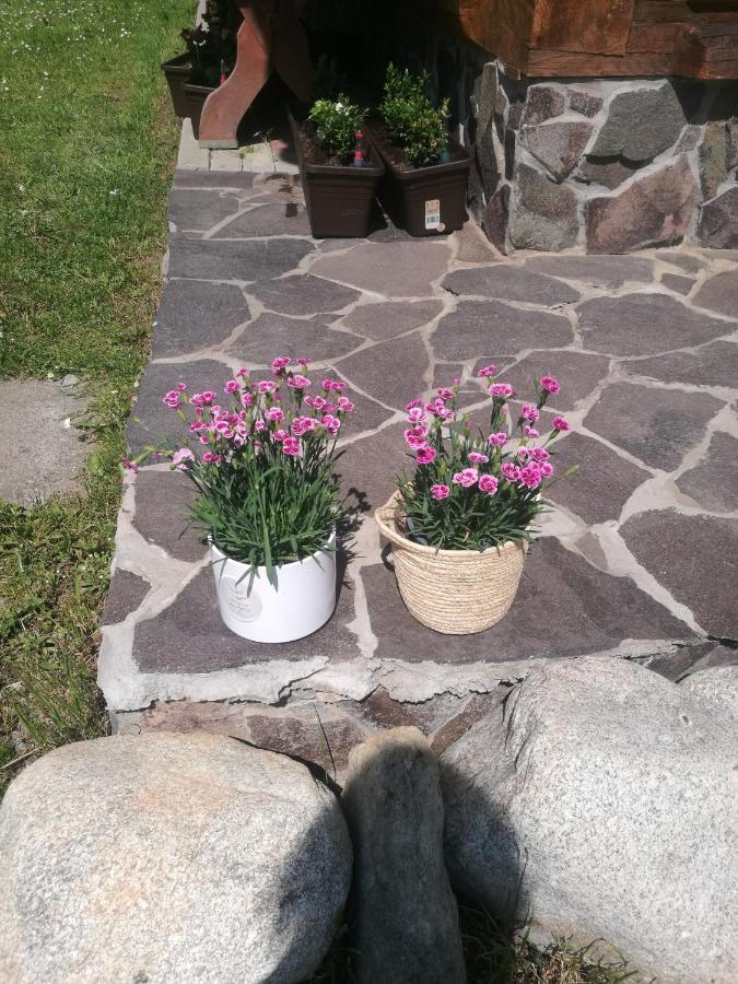 Drevenica Zapadne Tatry S Kupacou Kadou A Krbom Apartment จิอาร์ ภายนอก รูปภาพ
