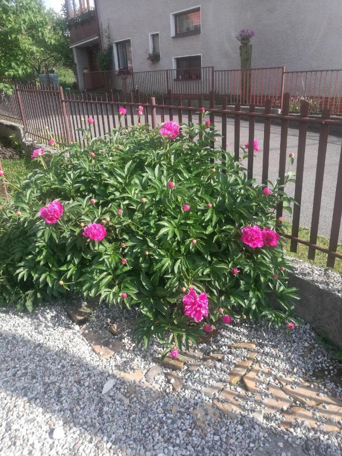 Drevenica Zapadne Tatry S Kupacou Kadou A Krbom Apartment จิอาร์ ภายนอก รูปภาพ
