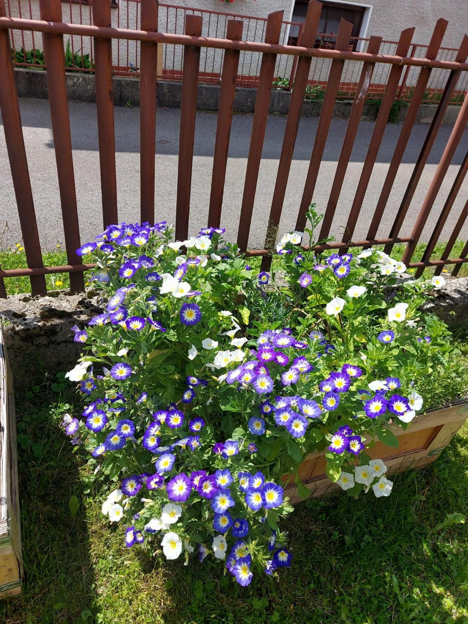 Drevenica Zapadne Tatry S Kupacou Kadou A Krbom Apartment จิอาร์ ภายนอก รูปภาพ